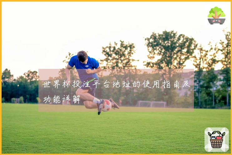 世界杯投注平台地址的使用指南及功能详解