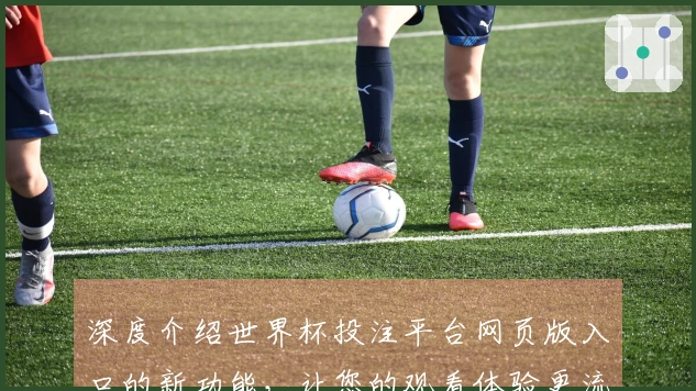 深度介绍世界杯投注平台网页版入口的新功能，让您的观看体验更流畅更精彩