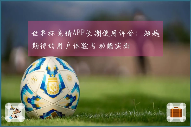 世界杯竞猜APP长期使用评价：超越期待的用户体验与功能实测