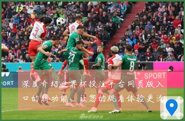 深度介绍世界杯投注平台网页版入口的新功能，让您的观看体验更流畅更精彩