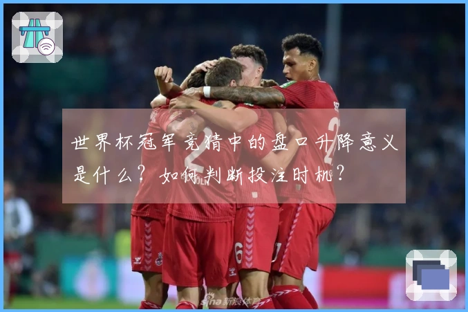世界杯冠军竞猜中的盘口升降意义是什么？如何判断投注时机？