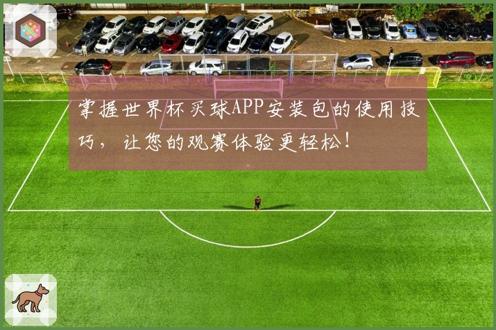 掌握世界杯买球APP安装包的使用技巧，让您的观赛体验更轻松！