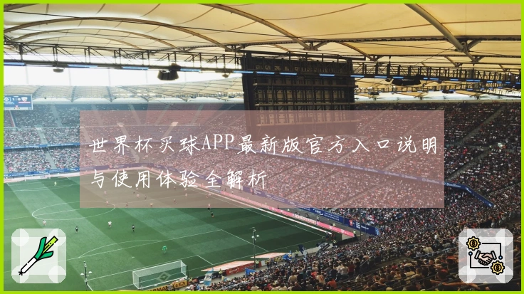 世界杯买球APP最新版官方入口说明与使用体验全解析