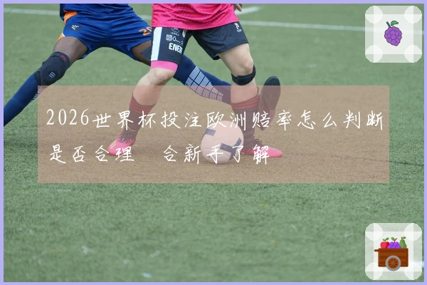 2026世界杯投注欧洲赔率怎么判断是否合理適合新手了解