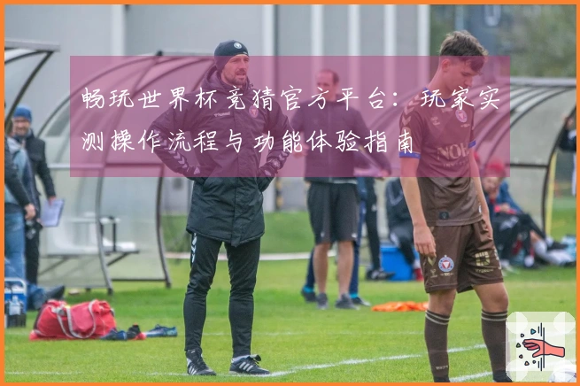 畅玩世界杯竞猜官方平台：玩家实测操作流程与功能体验指南