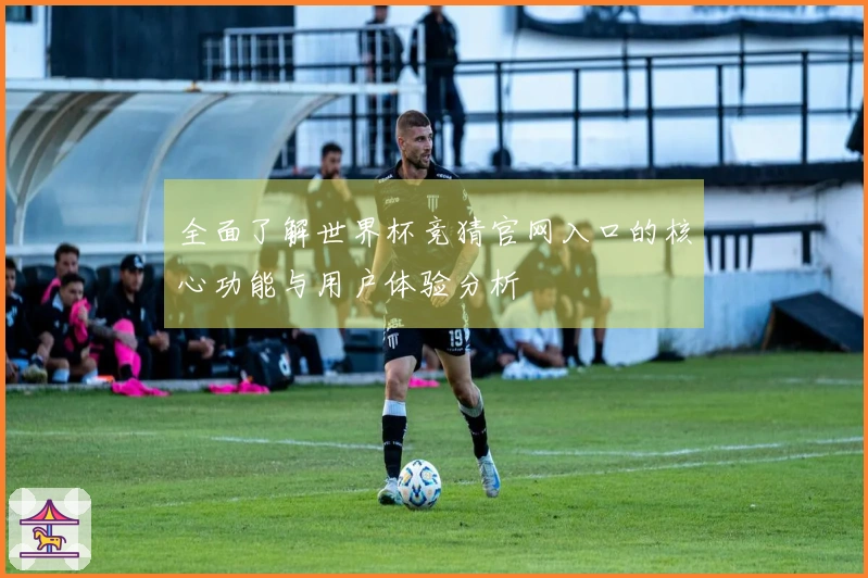 全面了解世界杯竞猜官网入口的核心功能与用户体验分析