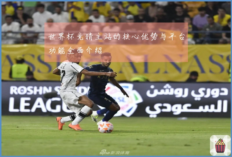 世界杯竞猜主站的核心优势与平台功能全面介绍