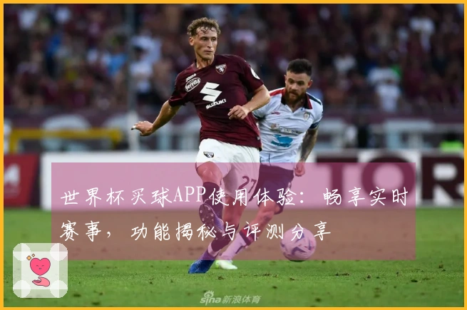 世界杯买球APP使用体验：畅享实时赛事，功能揭秘与评测分享