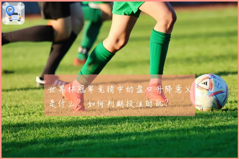 世界杯冠军竞猜中的盘口升降意义是什么？如何判断投注时机？