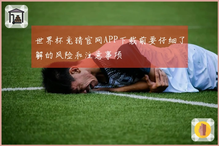 世界杯竞猜官网APP下载前要仔细了解的风险和注意事项