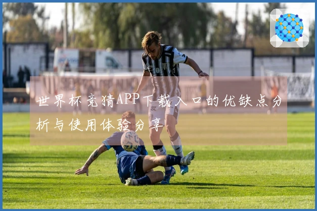 世界杯竞猜APP下载入口的优缺点分析与使用体验分享