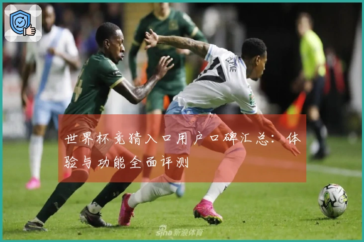 世界杯竞猜入口用户口碑汇总：体验与功能全面评测
