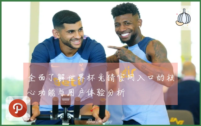 全面了解世界杯竞猜官网入口的核心功能与用户体验分析