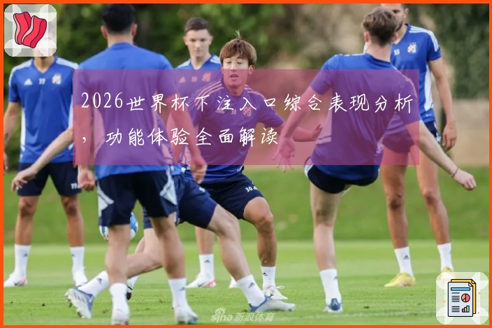 2026世界杯下注入口综合表现分析，功能体验全面解读